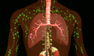 Lymphsystem